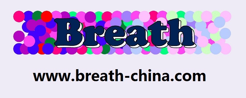 璞适（上海）国际贸易有限公司