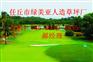 阜阳休闲场地草坪规格齐全
