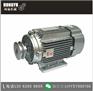 380V 三相防爆电机 750W
