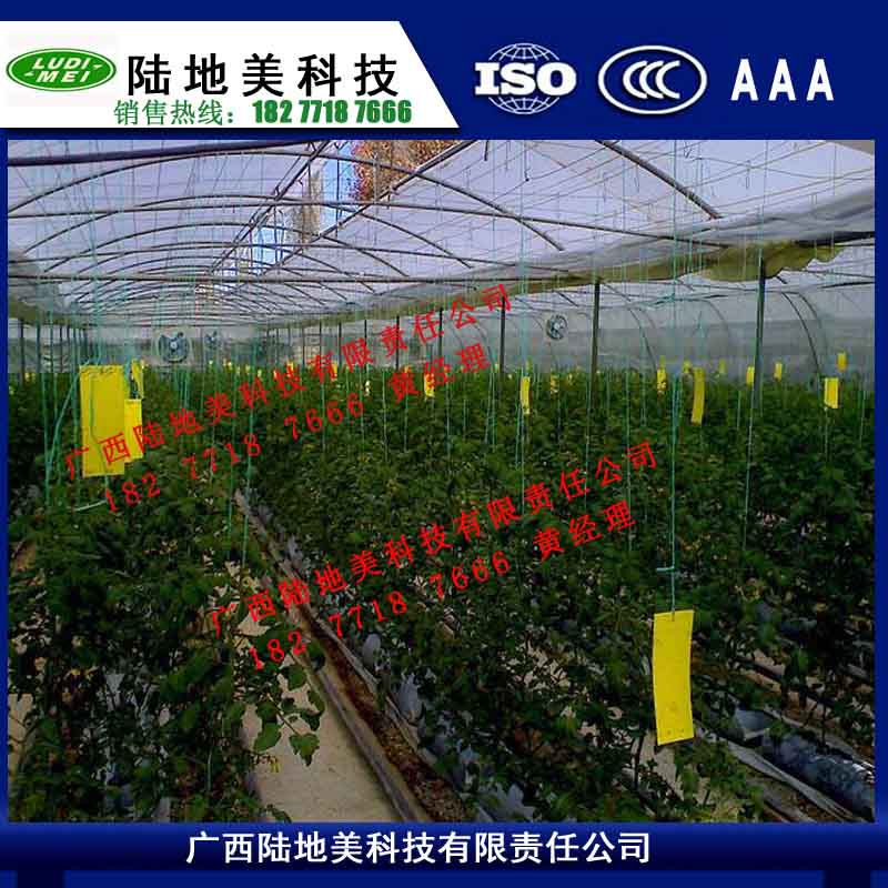 粘虫板厂家价格
