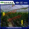 广西黄色粘虫板生产厂家_黄色粘虫板哪家质量好