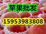 曲靖嘎啦苹果产地价格