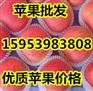 山东嘎啦苹果主产地在哪里
