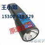 总代直销SKF频闪仪TKRS10（正品）TKRS20（质优）
