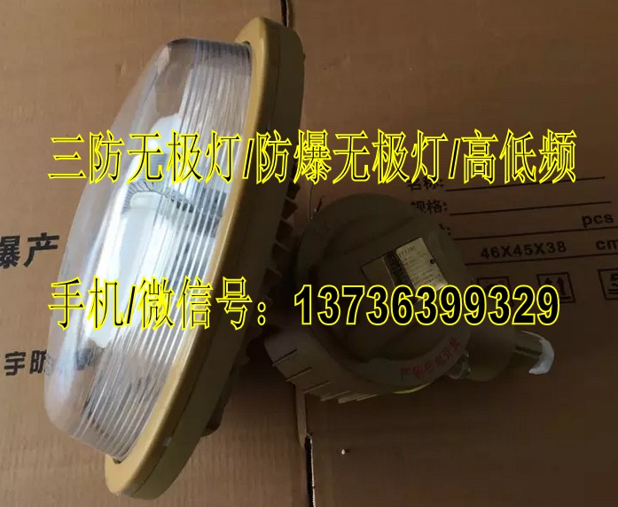 IICT4免维护防爆灯SBD6102-YQL40W/吸顶式&nbsp;&nbsp;40W防爆无极灯&nbsp;&nbsp;吸顶式免维护灯