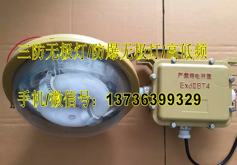 SBD1102-40c2*/220V免维护节能灯/防爆无极灯  SBD1102无极灯  平台式防爆无极灯  IIC级防爆灯
