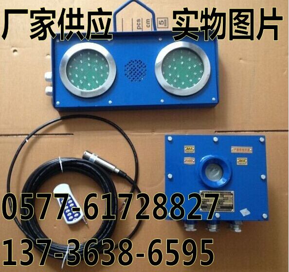 大同ZSB127挖金湾煤矿用水仓水位高低排水报警器  水仓排水报警器  矿用液位显示报警器  高低水位报警器