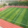 德宏门球场22mmPE草‖详细说明图片
