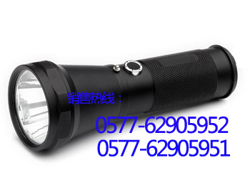 [iw5120]led手摇灯iw5120（P65）