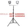 [iw5100gf]低顶灯iw5100gf（P65）