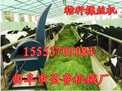 养殖揉丝机图片　高效揉丝机　耐用揉丝机&nbsp;&nbsp;最新揉丝机