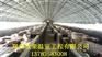 邢台养殖大棚基本造价日光温室建造基地