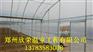 专业承建温室大棚芜湖简易连体棚建造基地