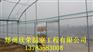 简易连体棚建造团队焦作大棚骨架批发价格
