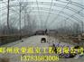新型日光温室建造方案唐山养殖大棚建造价格