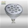 工厂批发 12w LED射灯 par38