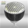 工厂批发 60w LED射灯 par64
