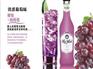 上海知名的预调酒供应商：橙子味预调酒