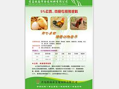 高品質蛋雞育雛預混料推薦|蛋雞預混料批發(fā)