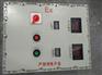 BXMD56-16K军工防爆配电箱（IP56/BT6）