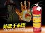 贺州手提式干粉灭火器 南宁桂达的广西干粉灭火器报价