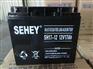 SEHEY西力蓄电池SH24-12/12V24AH价格
