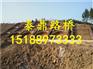 预制拱形护坡模具供应，预制拱形护坡模具图片
