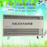 克拉玛依市对流式室内加热器 SRJF-H-200