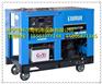 TSN26000TE东洋汽油发电机（16KW）