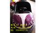 新儿童新款碰碰车就在郑州金山游乐设备|价格合理的儿童新款碰碰