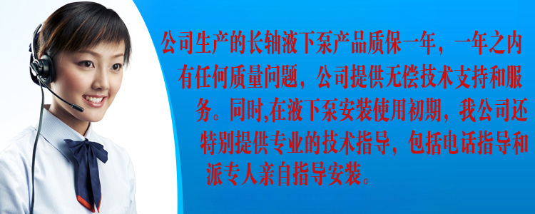 立式排污泵_耐腐蚀液下泵_液下泵-石保泵业