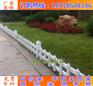 广州市政绿化草坪护栏 PVC草坪护栏 海口别墅花园草坪围栏
