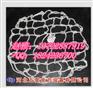 安徽聚乙烯防坠网-采购方式|z排水井防护网