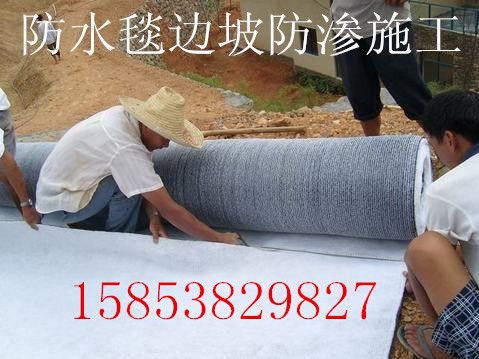 上海省嘉定区膨润土防水毯代理  膨润土防水毯供应  河道膨润土防水毯  膨润土防水毯厂家