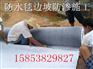 辽宁省抚顺市膨润土防水毯代理
