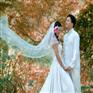2015春季婚礼策划主色调