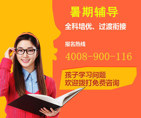 深圳初中作文暑期辅导班哪家好？八年级升九年级作文辅导  一对一  教育