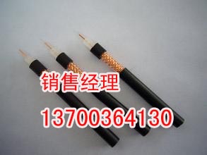 辽源生产DJYVPVP电缆公司，辽源计算机电缆规格