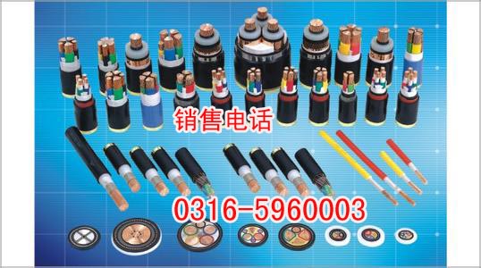 辽源本安防爆电缆IAKVVP厂家，本安防爆电缆销售