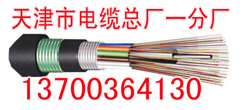 辽源开发生产RS485电缆销售，辽源设计ASTP-120欧姆  辽源生产RS485电缆