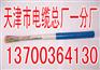 长春生产NHVV22电缆，长春供应NHVV耐火电缆