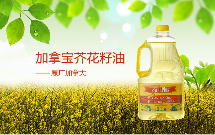 成都进口加拿大Canaplus芥花籽油清关&nbsp;&nbsp;进口清关&nbsp;&nbsp;进口报关&nbsp;&nbsp;进口代理