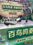 精彩鹦鹉表演展出租鸟艺演出百鸟展布场百鸟生态园租赁