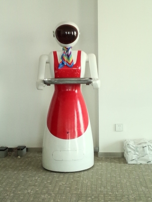 哪里能買到超值的寧夏機器人——內(nèi)蒙古機器人公司
