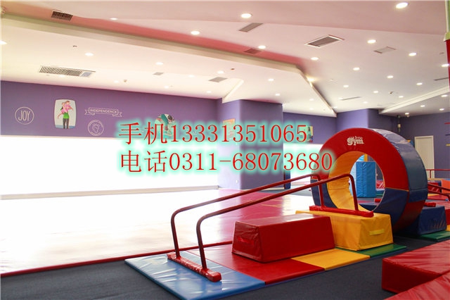 四川成都小小运动馆器材直销亮丽外观更显活力  幼儿园器材批发  幼儿早教批发工厂