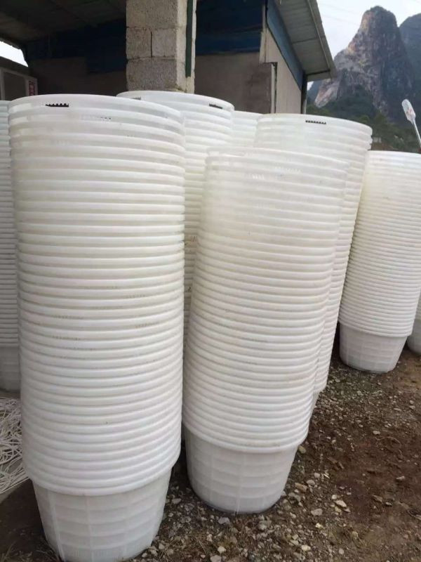 桂林性價(jià)比高的水果塑料籮筐供應(yīng)——湖南硬牛牌塑料籮筐