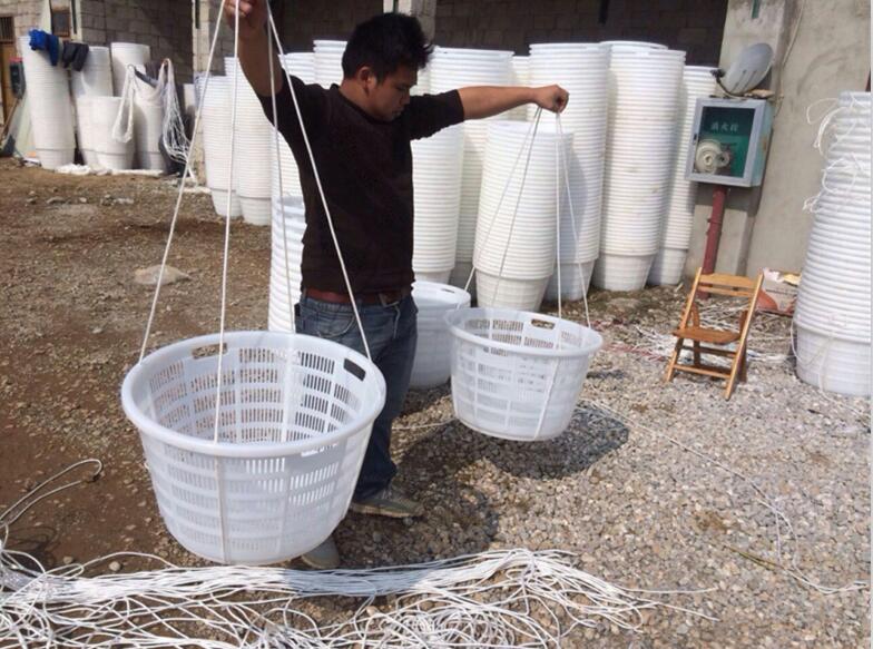 新款水果塑料籮筐推薦——新型塑料籮筐