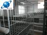 河南新型育雏笼制造商|河南高品质育雏笼电话【河南银星】