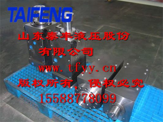 供应WC67Y-125D-00型折弯机油缸 插装阀 集成块