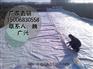 曲靖国标复合膜标准GB/T17642-2008选山东金择